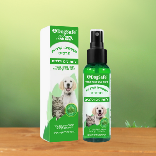 1x DogSafe IL