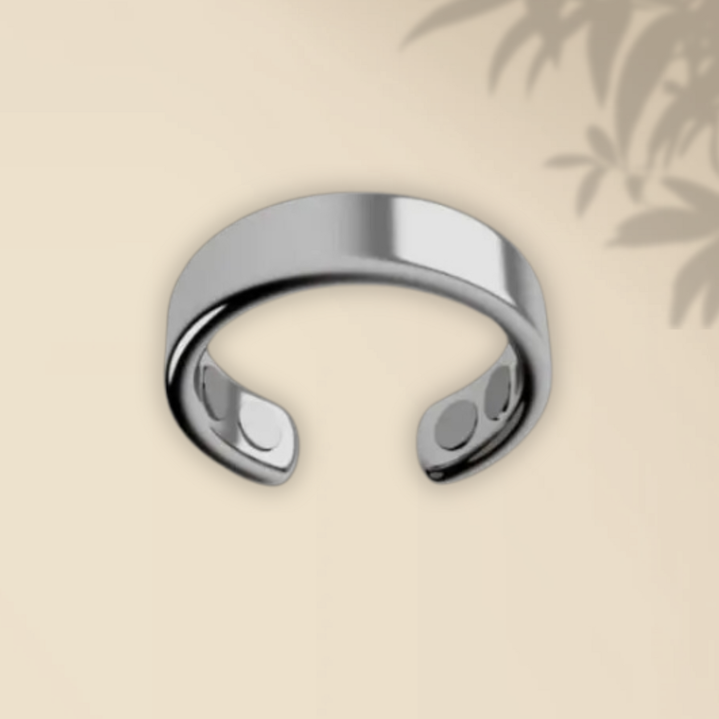 RingFit CH