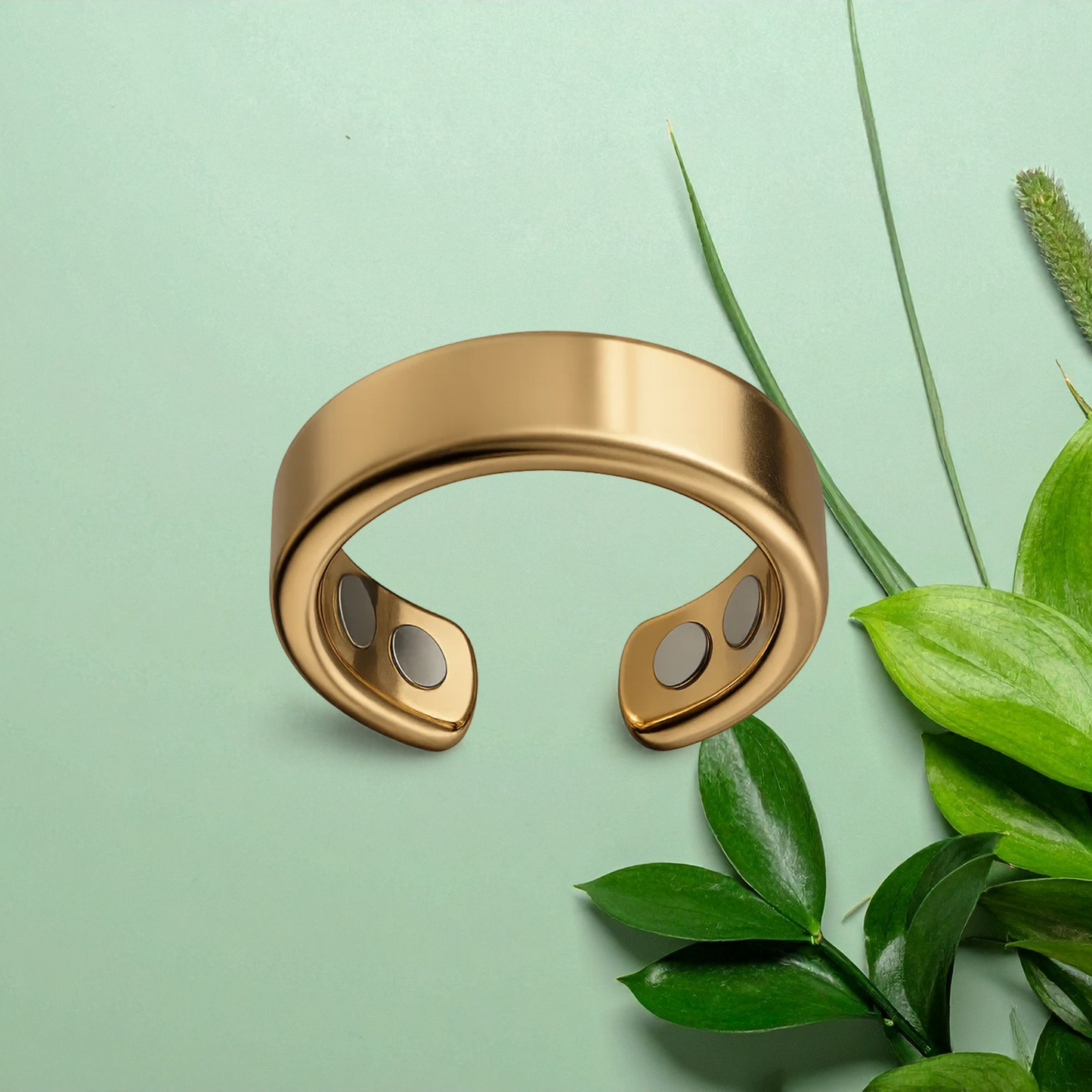 ZenRing IL