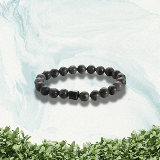 SobriBracelet CH