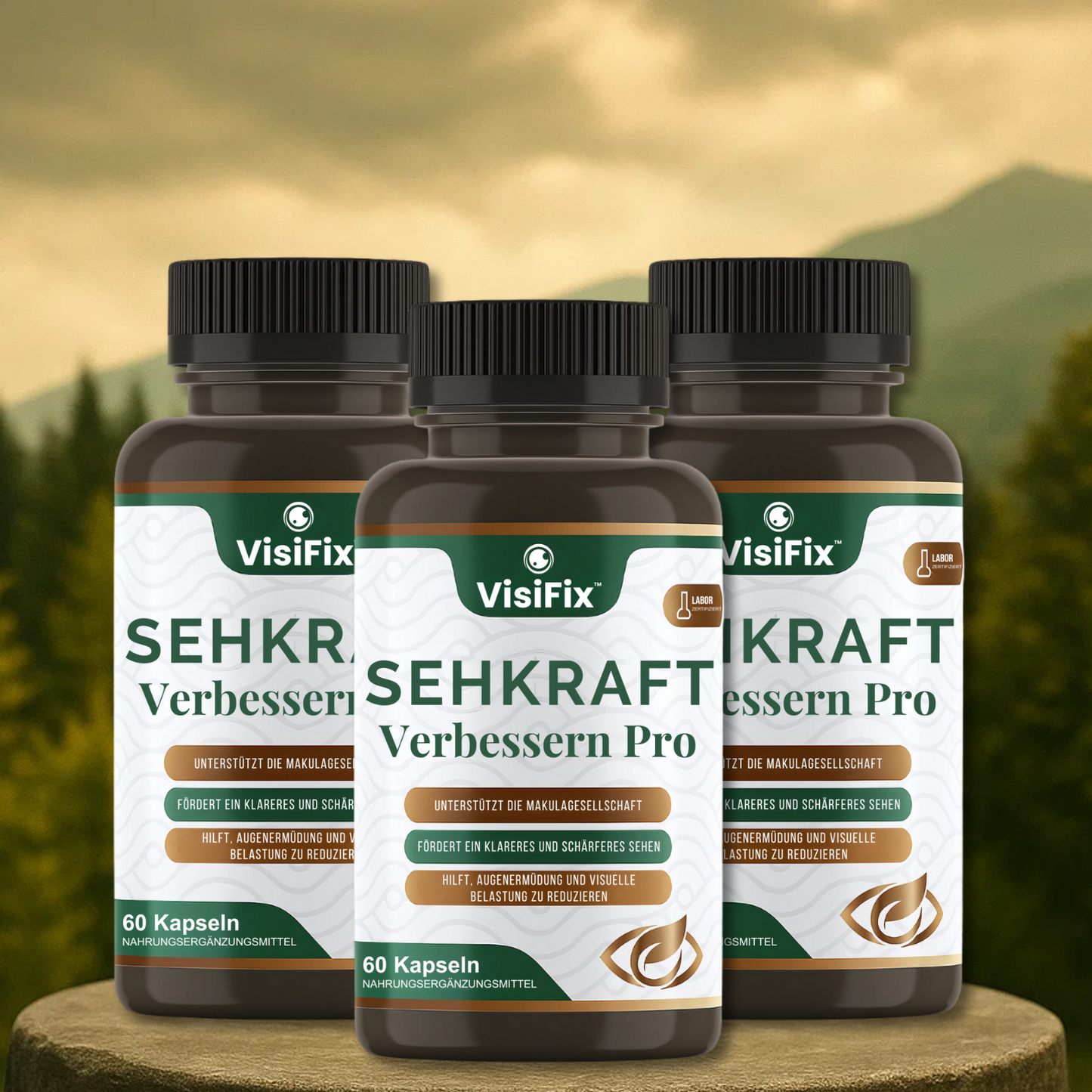 VisiFix CH