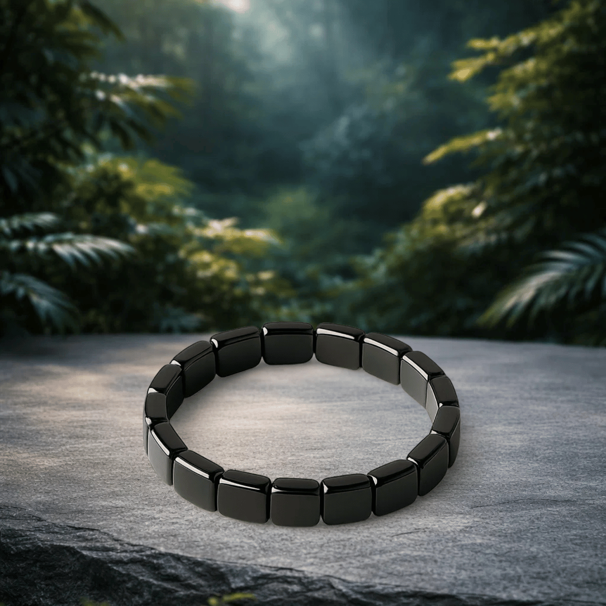TerraZen IL