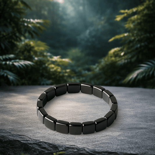 TerraZen IL