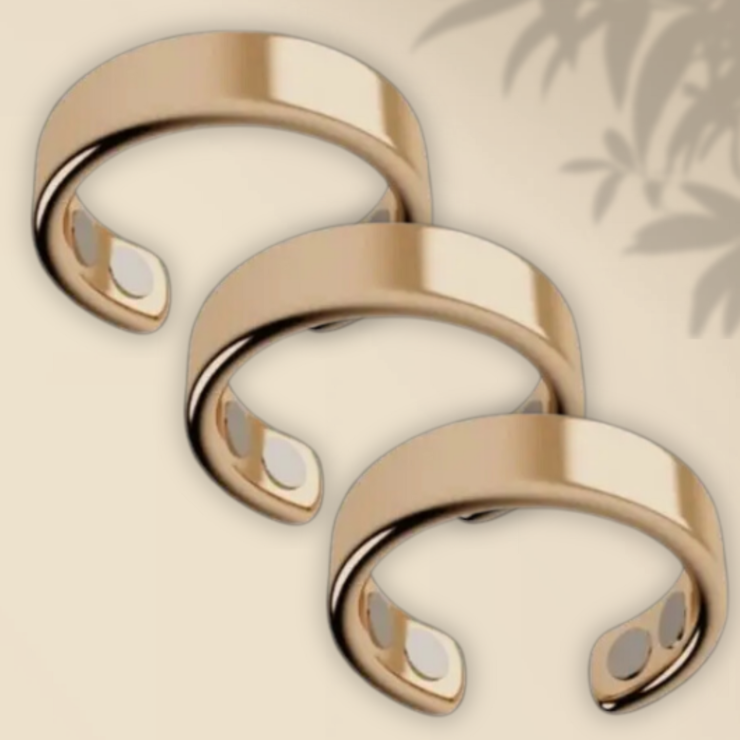 RingFit CH