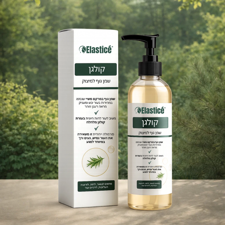 Elasticé IL
