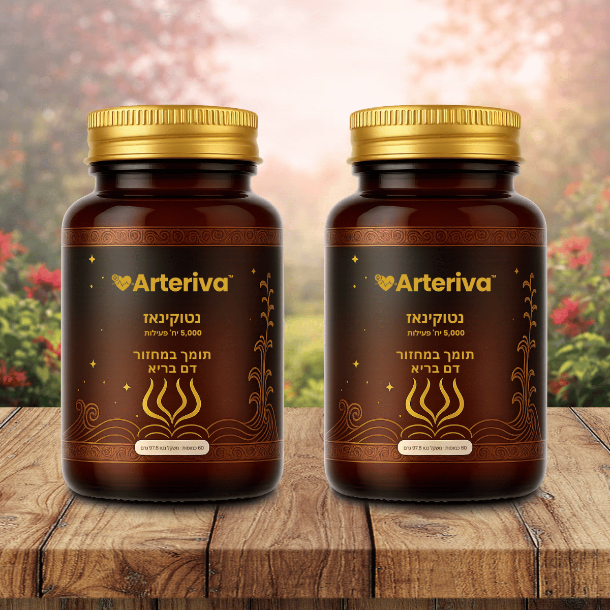 Arteriva IL