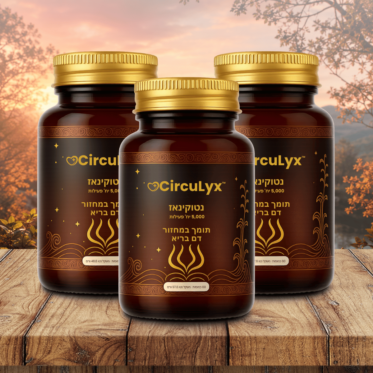 CircuLyx IL