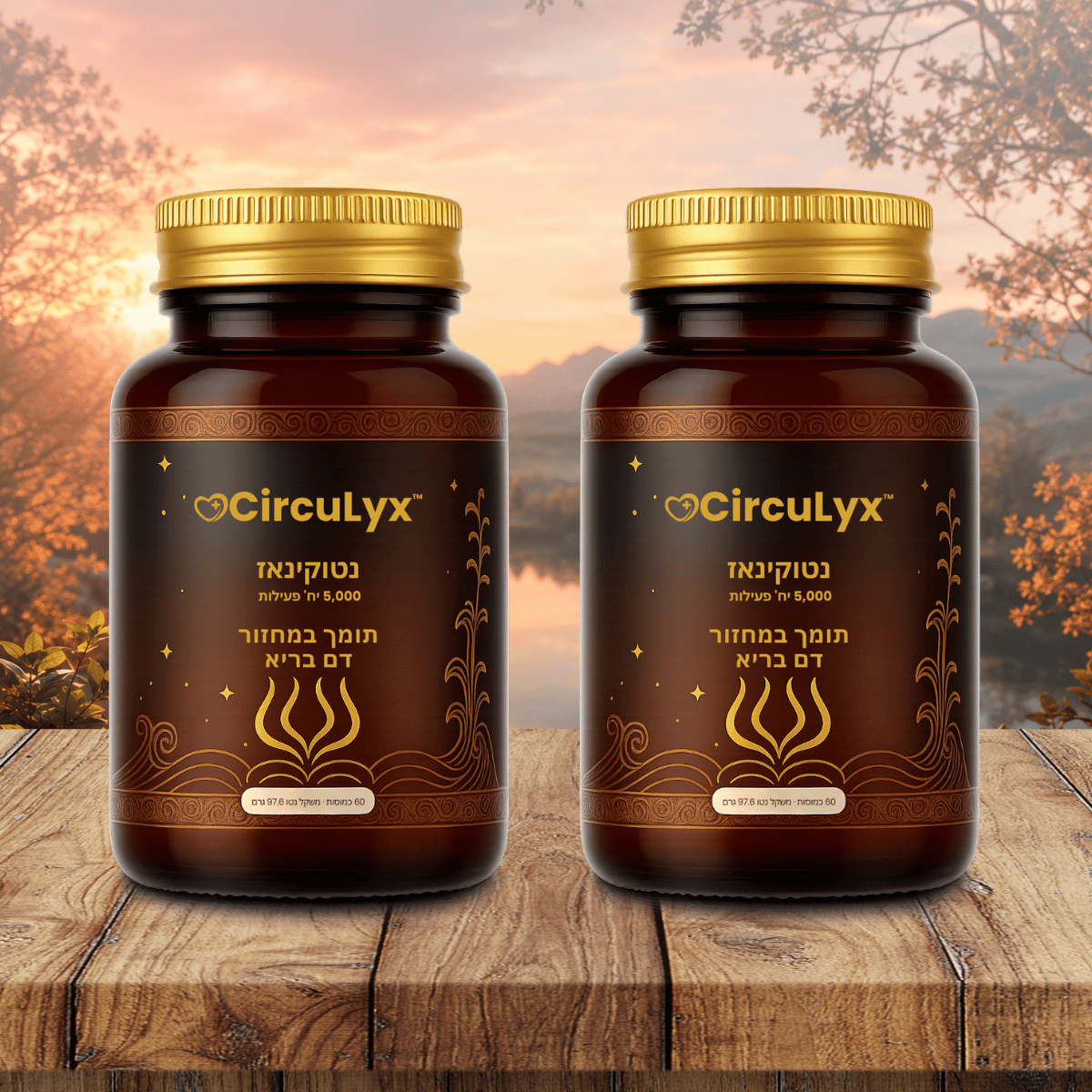 CircuLyx IL